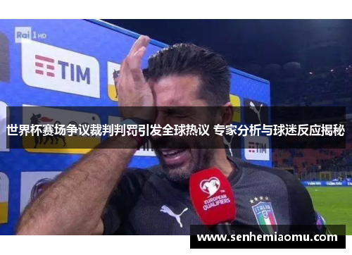 世界杯赛场争议裁判判罚引发全球热议 专家分析与球迷反应揭秘