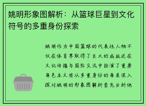 姚明形象图解析：从篮球巨星到文化符号的多重身份探索