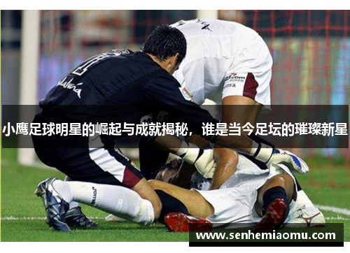 小鹰足球明星的崛起与成就揭秘，谁是当今足坛的璀璨新星