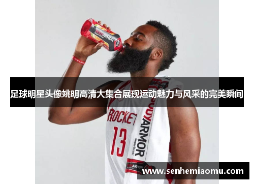 足球明星头像姚明高清大集合展现运动魅力与风采的完美瞬间