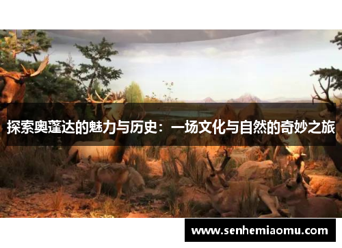 探索奥蓬达的魅力与历史：一场文化与自然的奇妙之旅