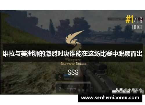 维拉与美洲狮的激烈对决谁能在这场比赛中脱颖而出